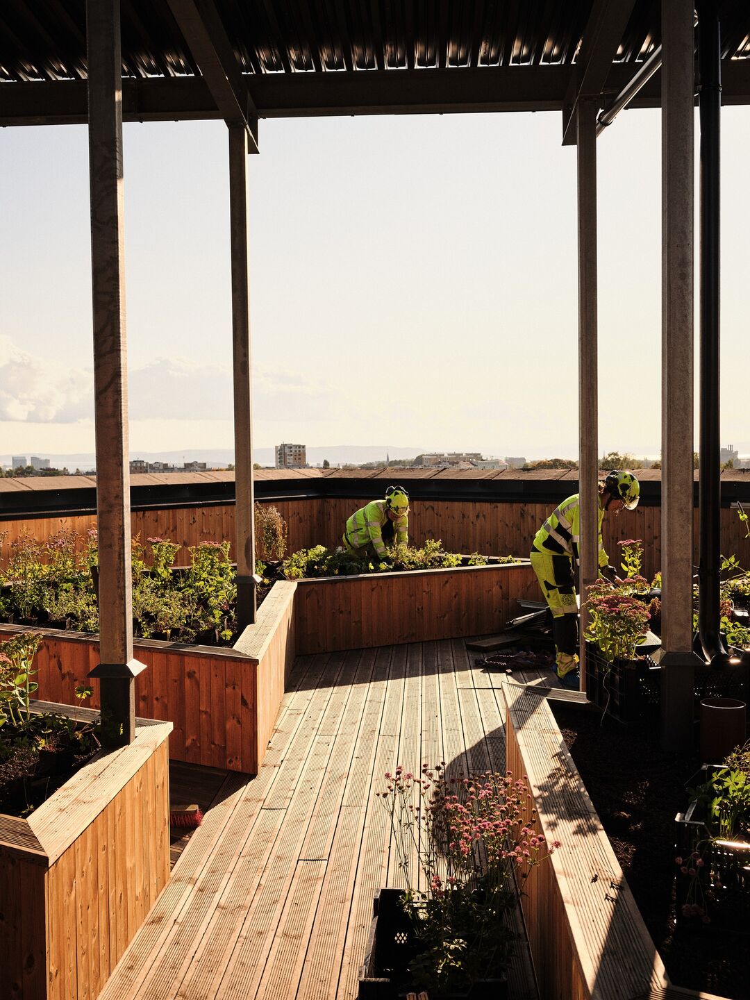 san thuong toa nha san vuon 