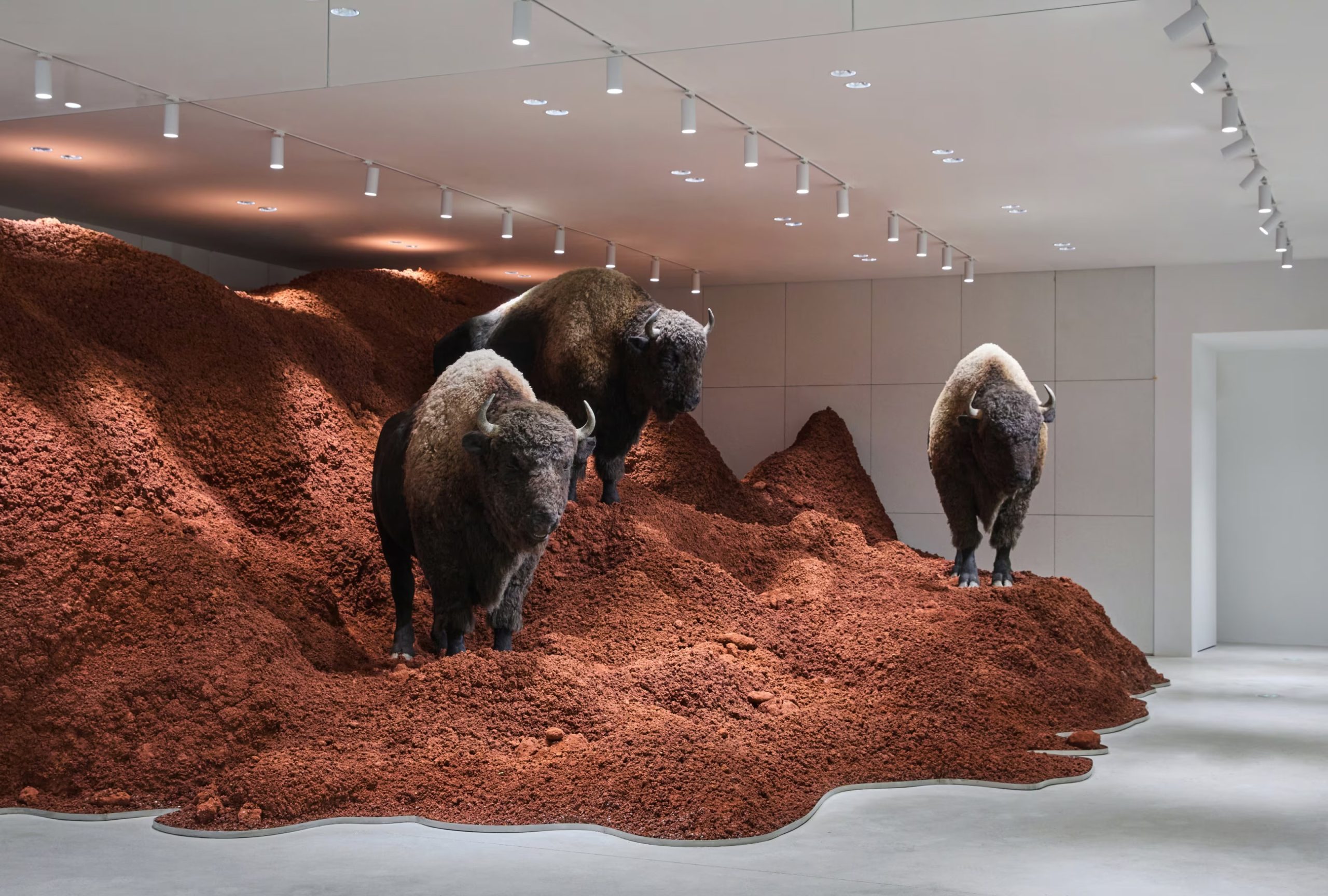 cua hang Gentle Monster Mixc World Water Plaza Tham Quyen Trung Quoc du an HAUS NOWHERE