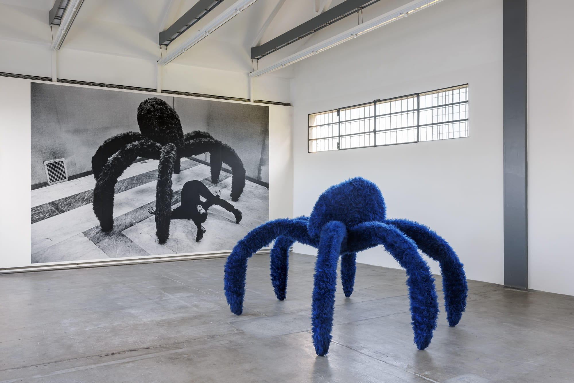 trien lam giam tuyen mark godfrey pino pascali 