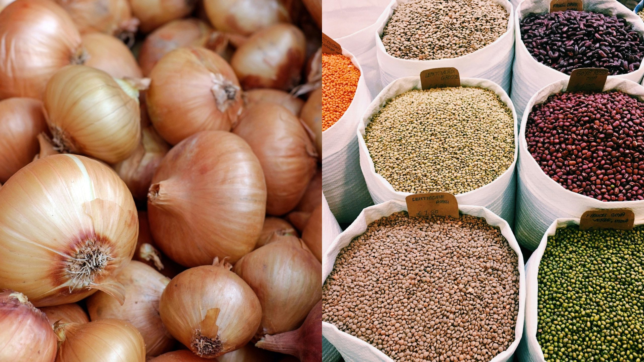 ki thuat trong rau cu qua hanh tay dau onions beans