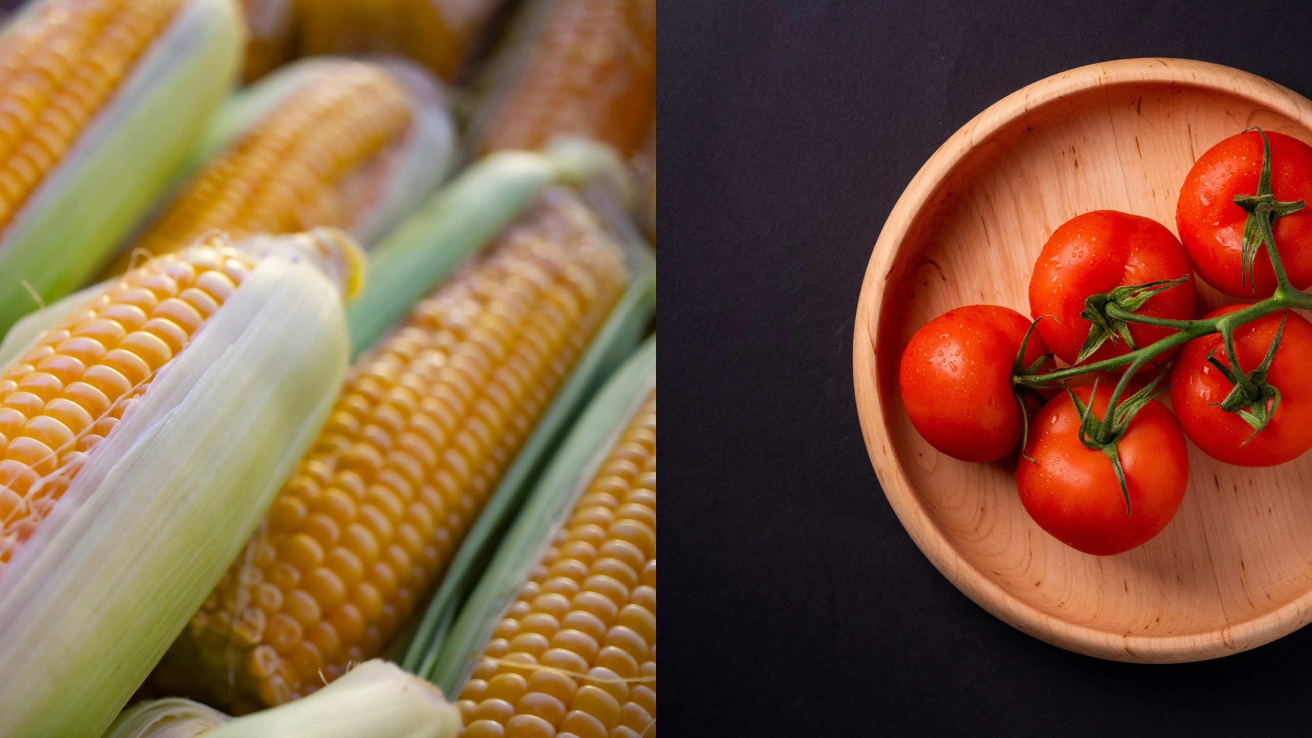 ki thuat trong rau cu qua ngo ca chua corn tomatoes