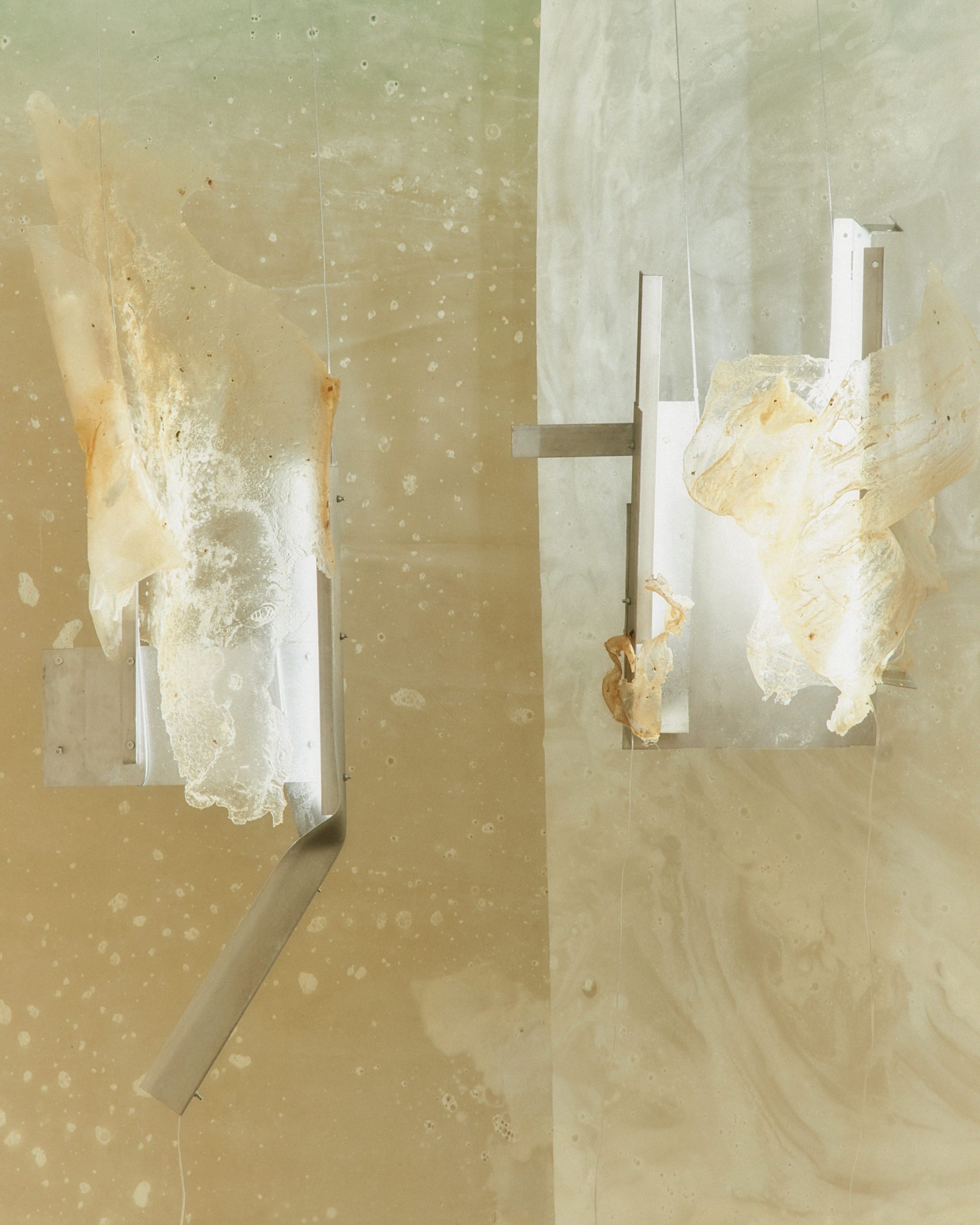 trien lam do noi that nhua sinh hoc 3 days of design ben vung