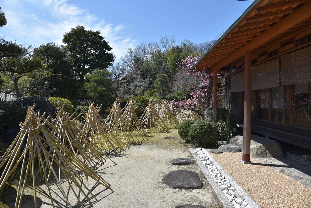 chasen dung cu pha tra Nhat Ban