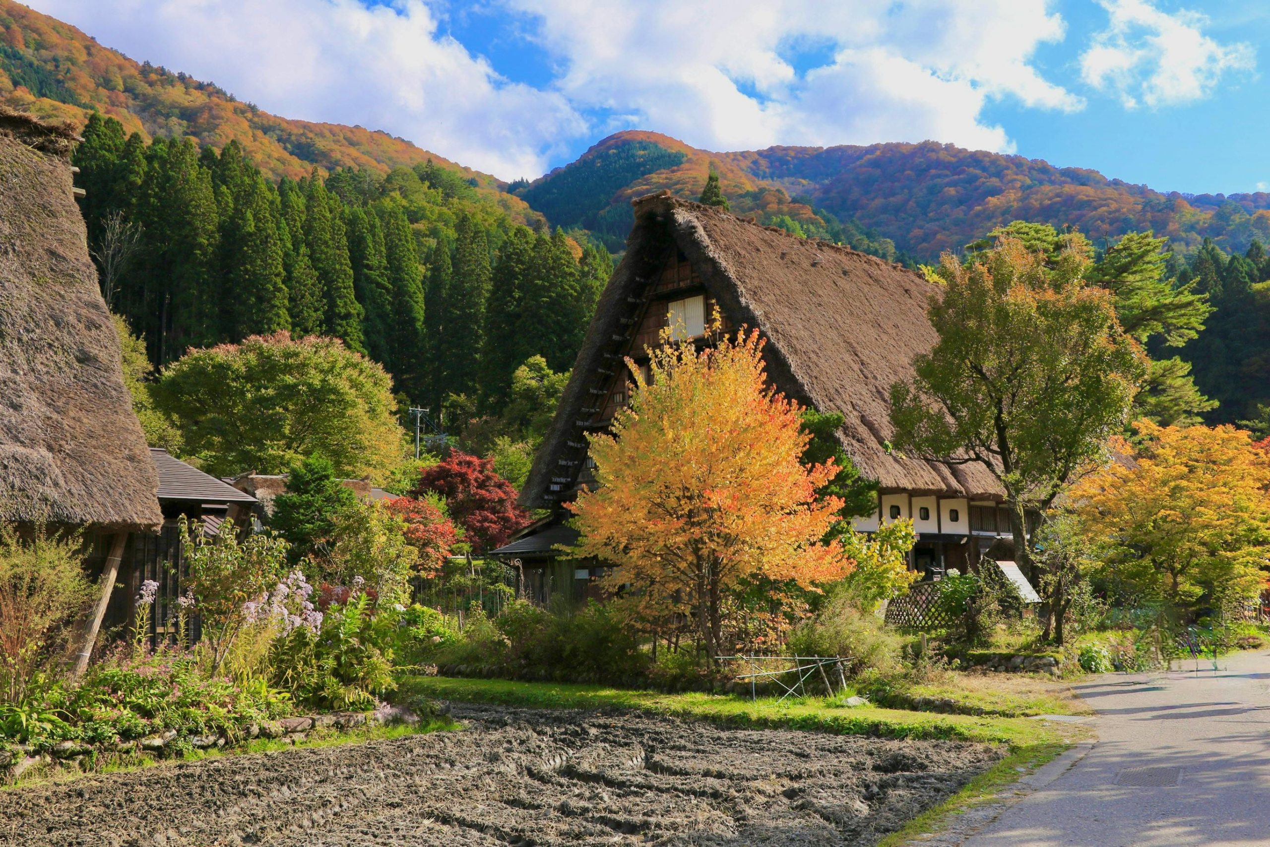 lang co ancient village Ogimachi Shirakawa-Go Nhat Ban