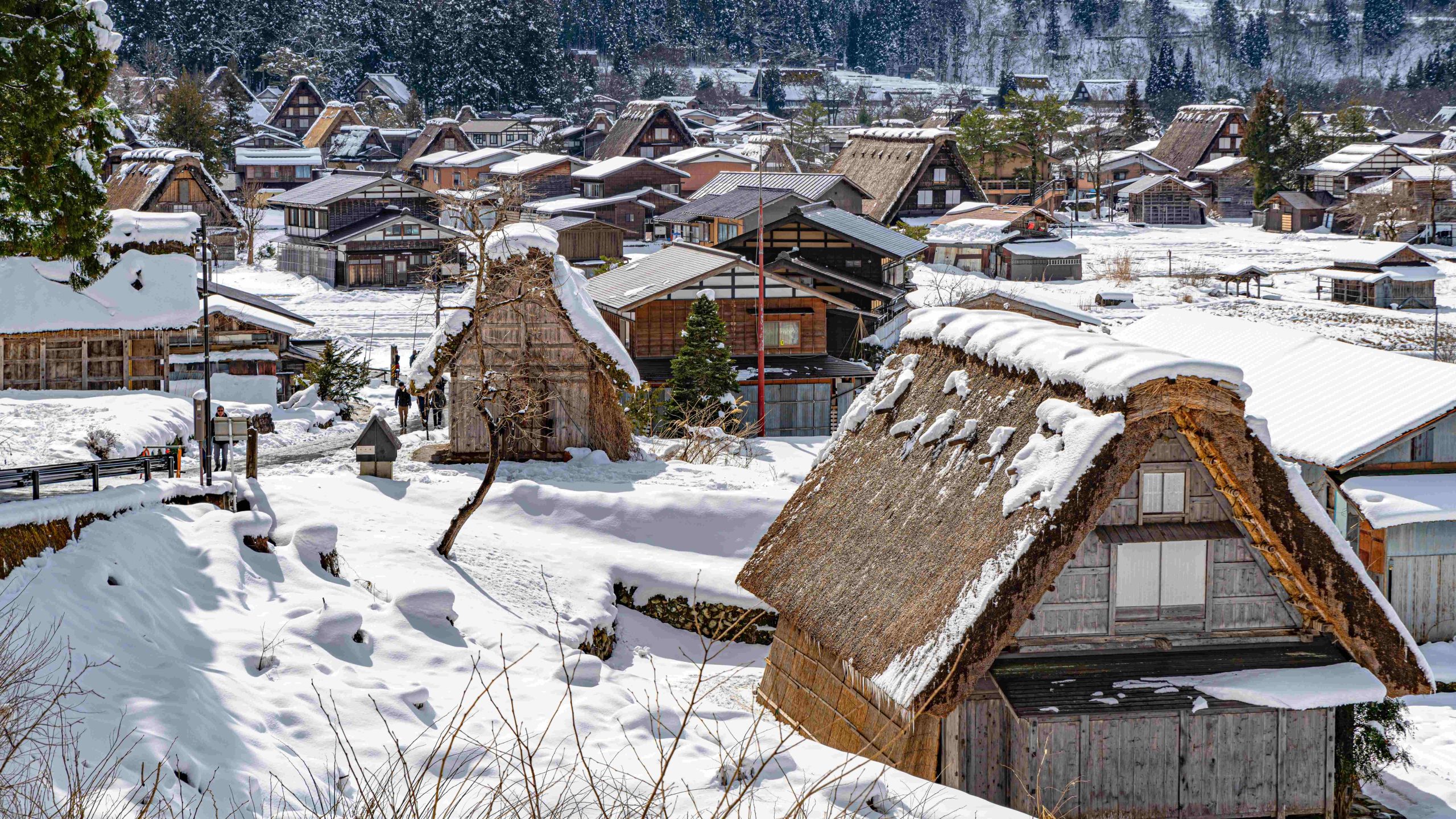 ancient village Ogimachi Shirakawa-Go Nhat Ban
