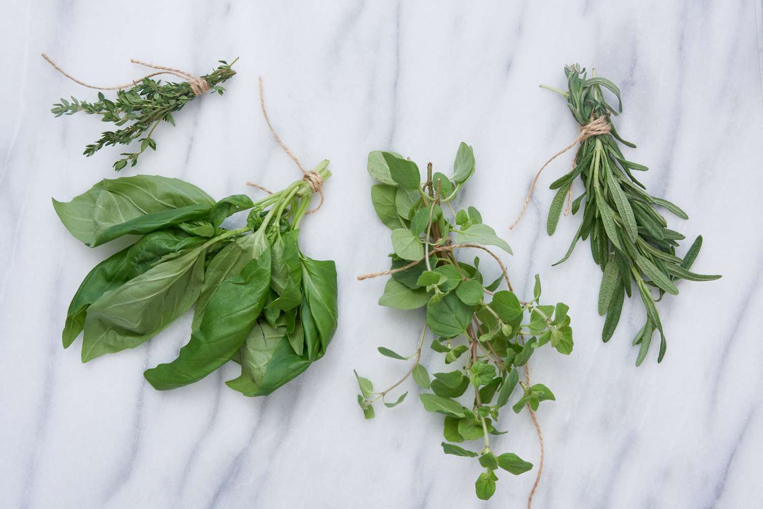 phoi kho bao quan thao moc tuoi fresh herb dry herb