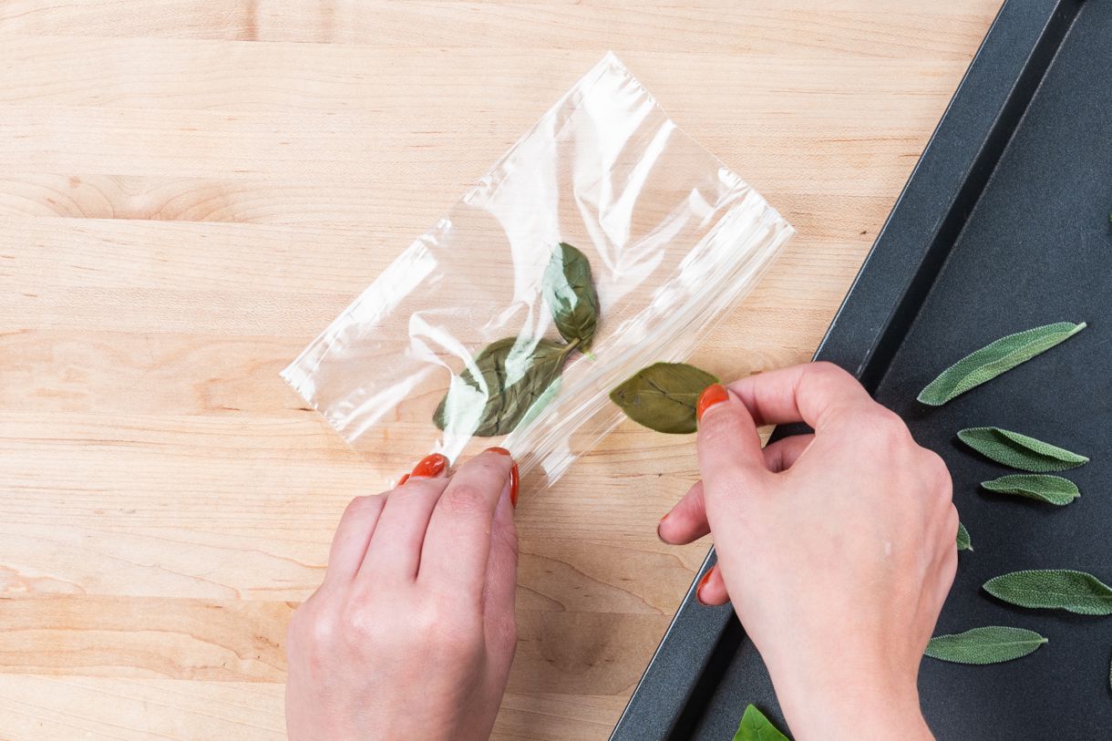 phoi kho bao quan fresh herb dry herb