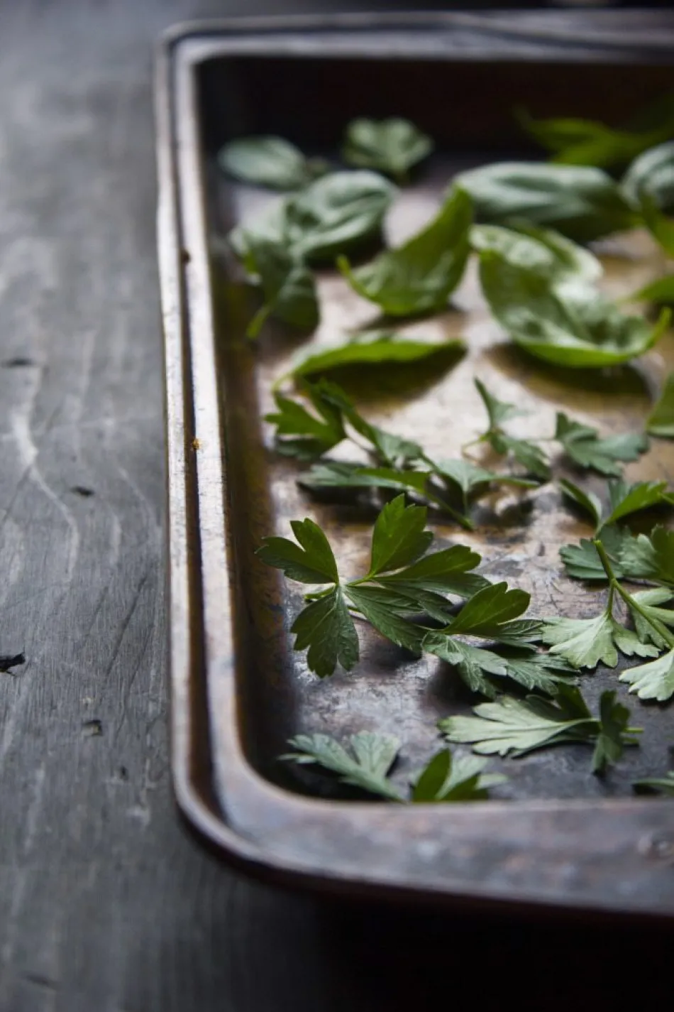 phoi kho bao quan fresh herb dry herb