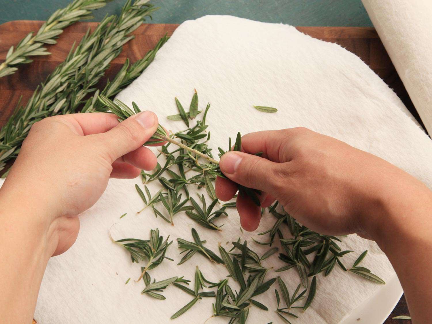 phoi kho bao quan thao moc tuoi fresh herb dry herb