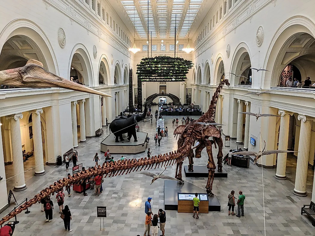 Field Museum Chicago Illinois USA