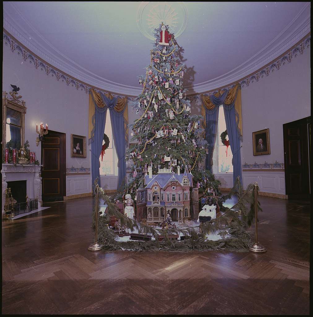 cay thong giang sinh nha trang