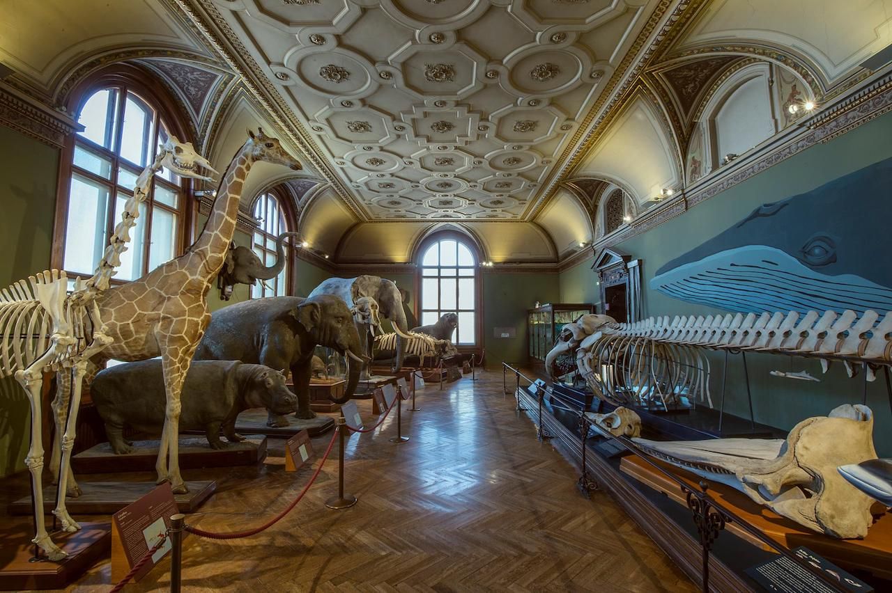 bao tang sinh hoc Natural History Museum Vienna Austria