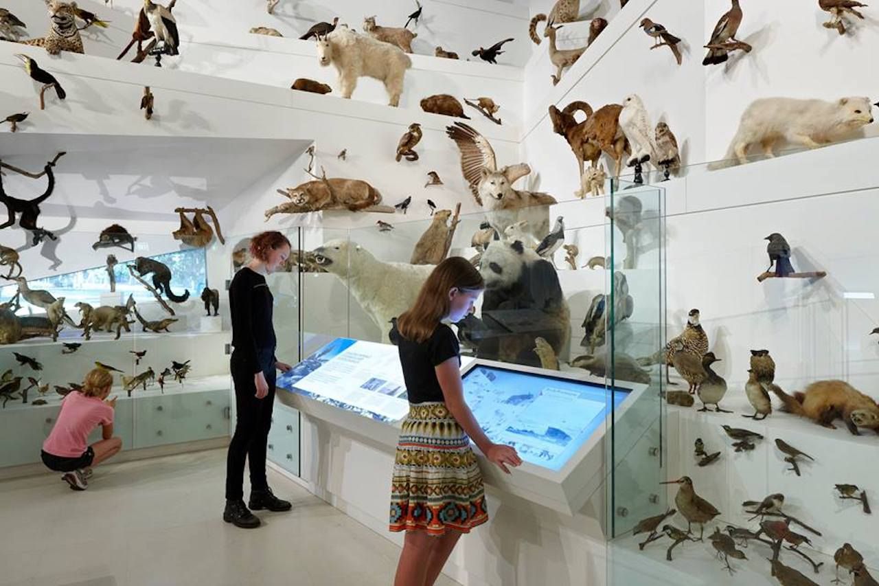 bao tang sinh hoc Melbourne Museum Melbourne australia