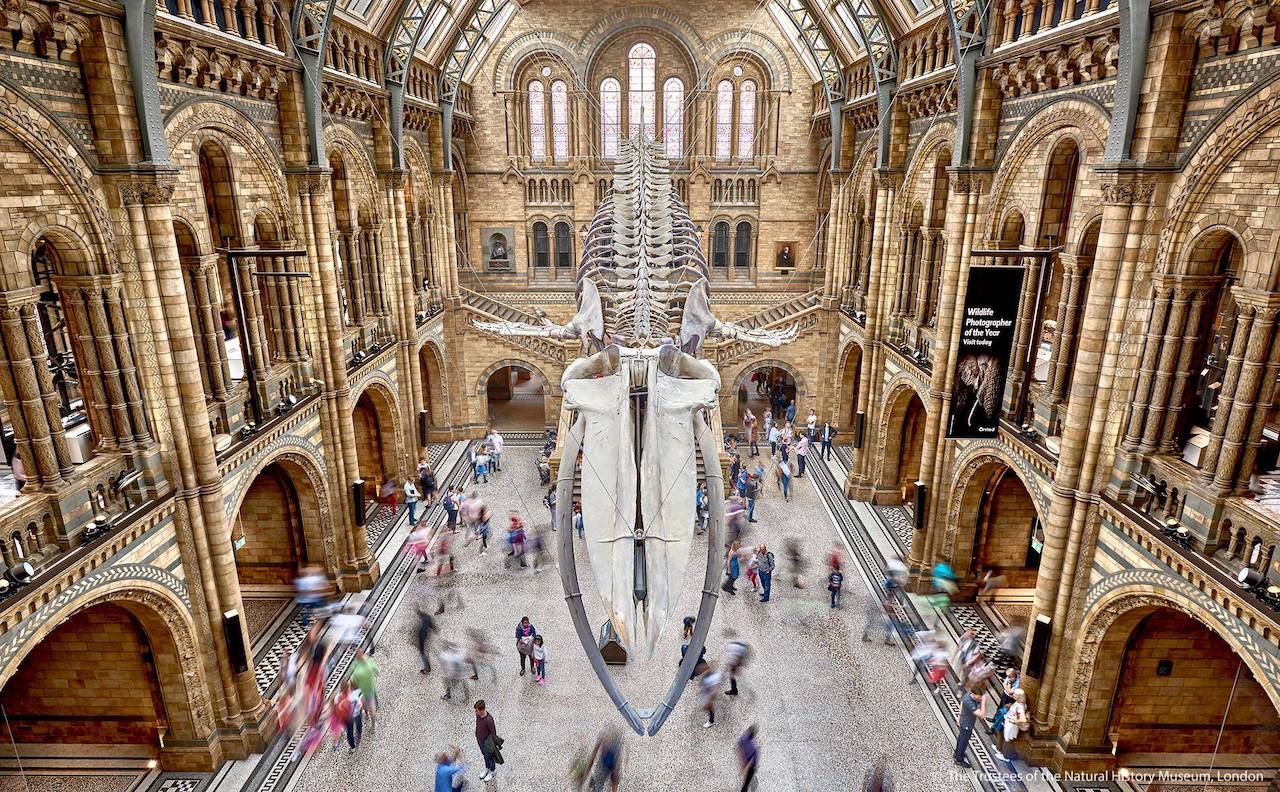 Natural History Museum london britain
