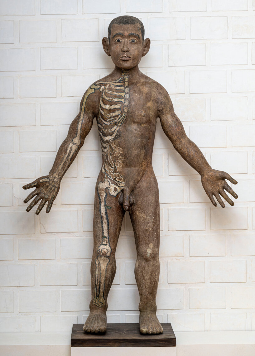 trien lam Cabinet of Wonders Wunderkammer Palazzo Grimani Venice