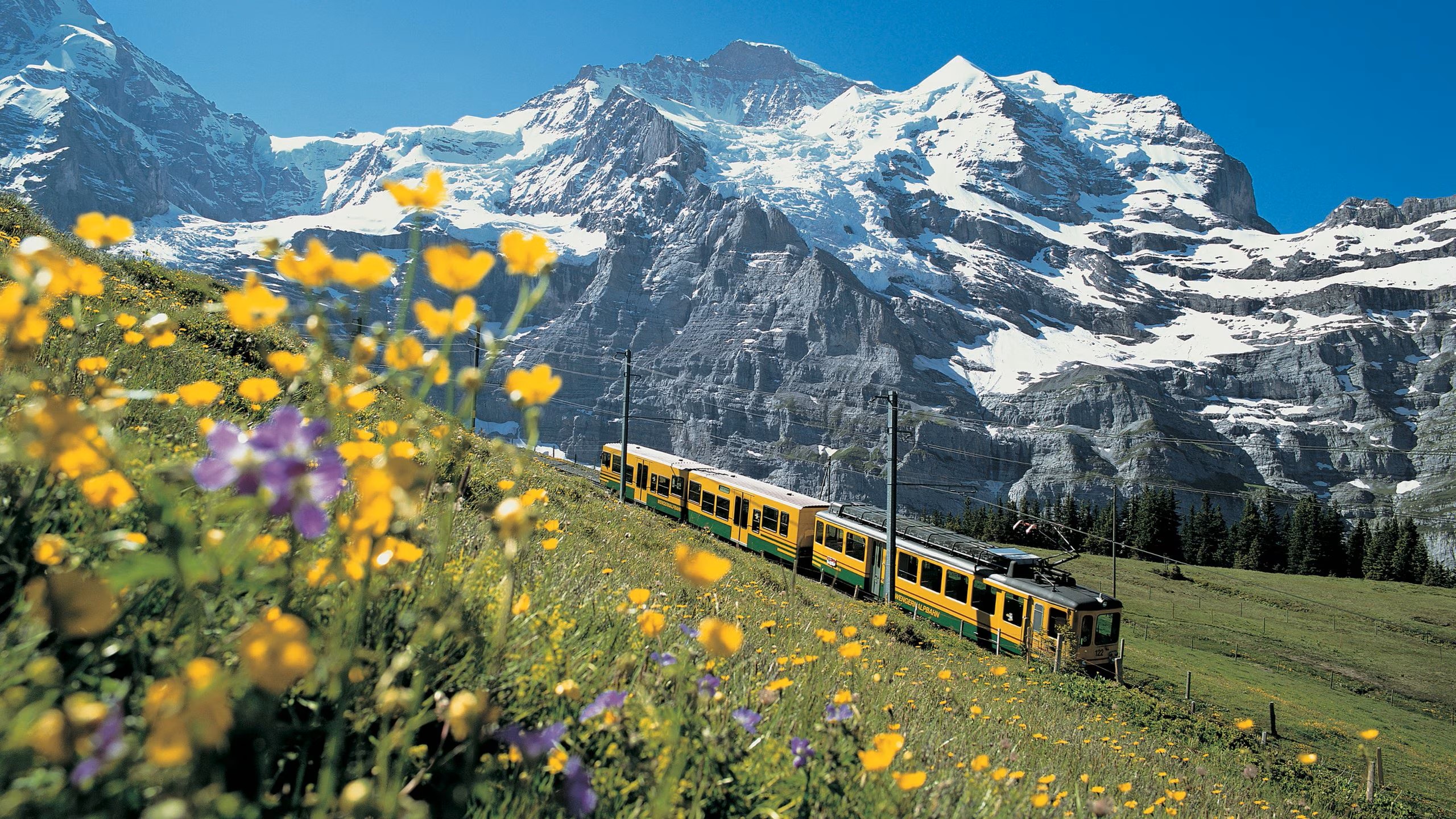 Switzerland Matterhorn day alps Zermatt geneva Chapel Bridge Lucerne Pilatus