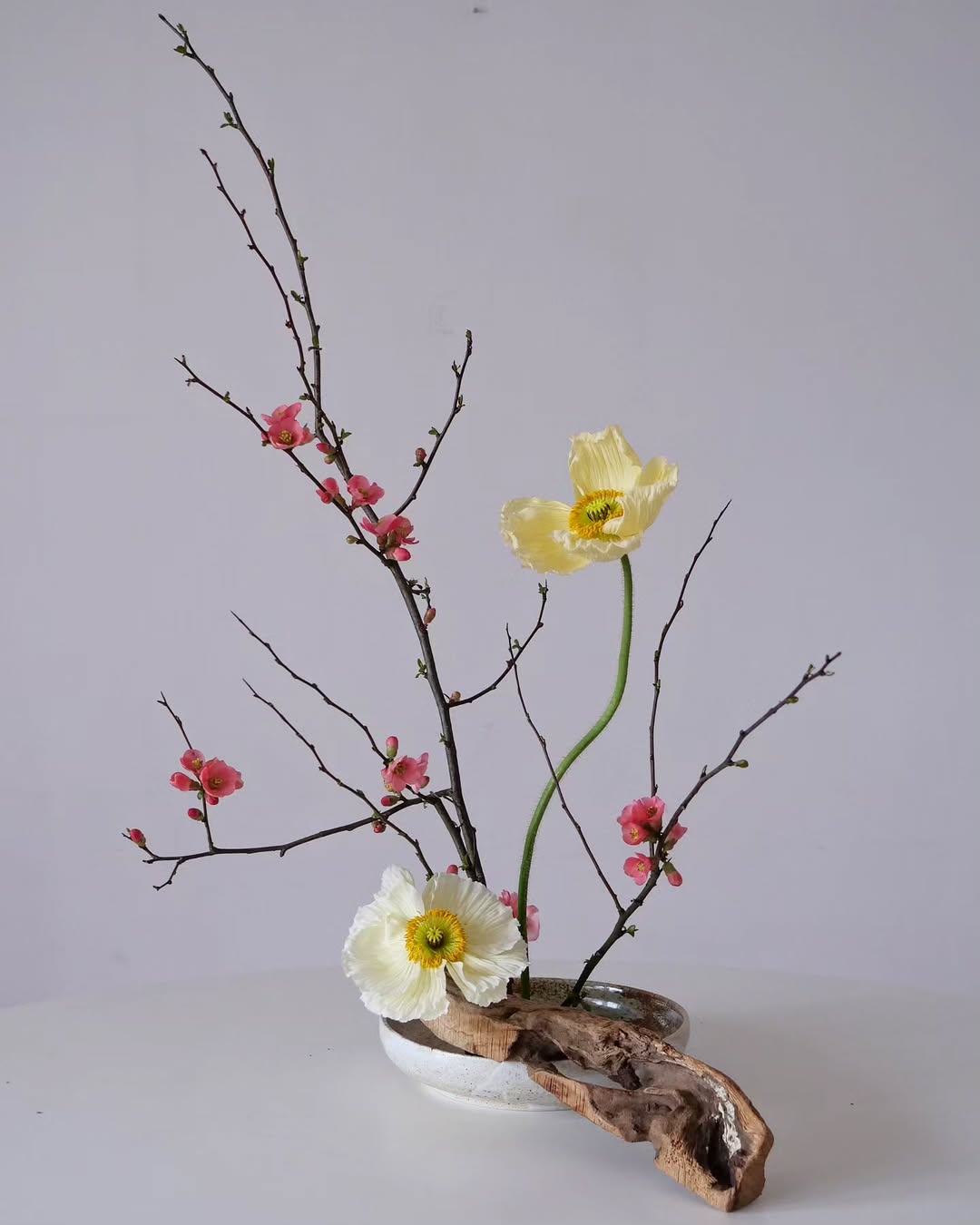 Akiko Usami ikebana hoa anh dao 