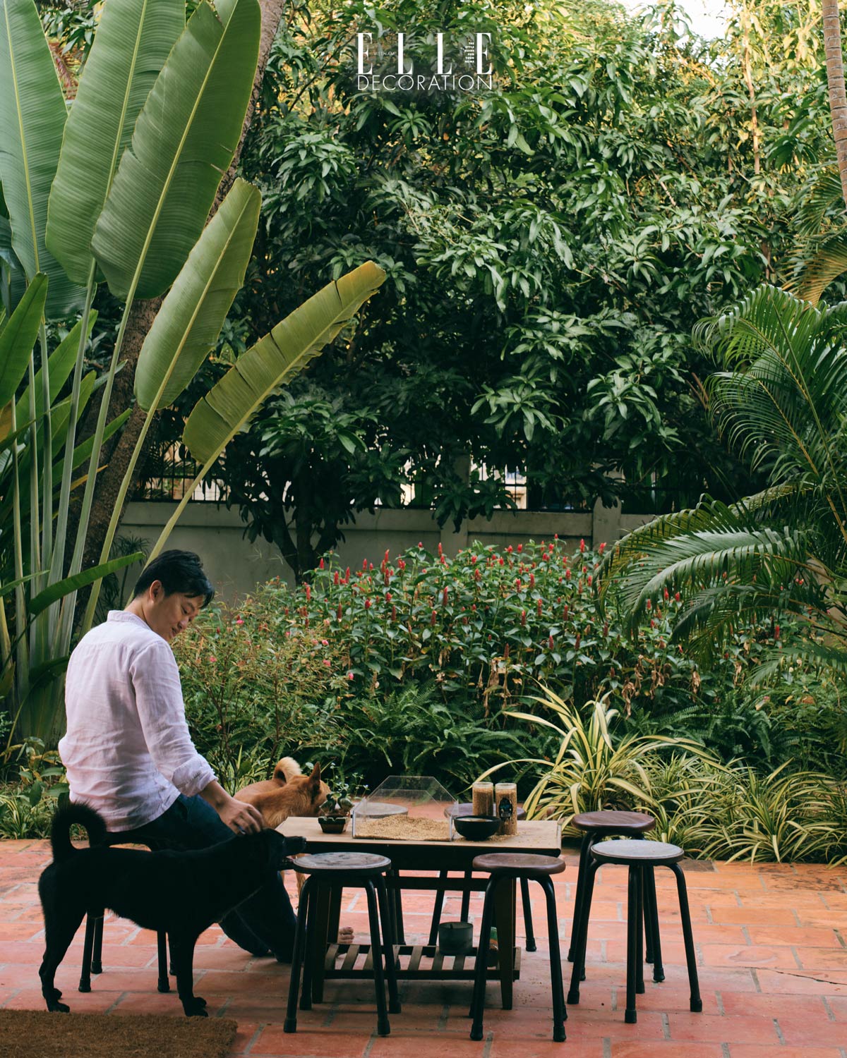 Doanh nhan Duc Bui 2