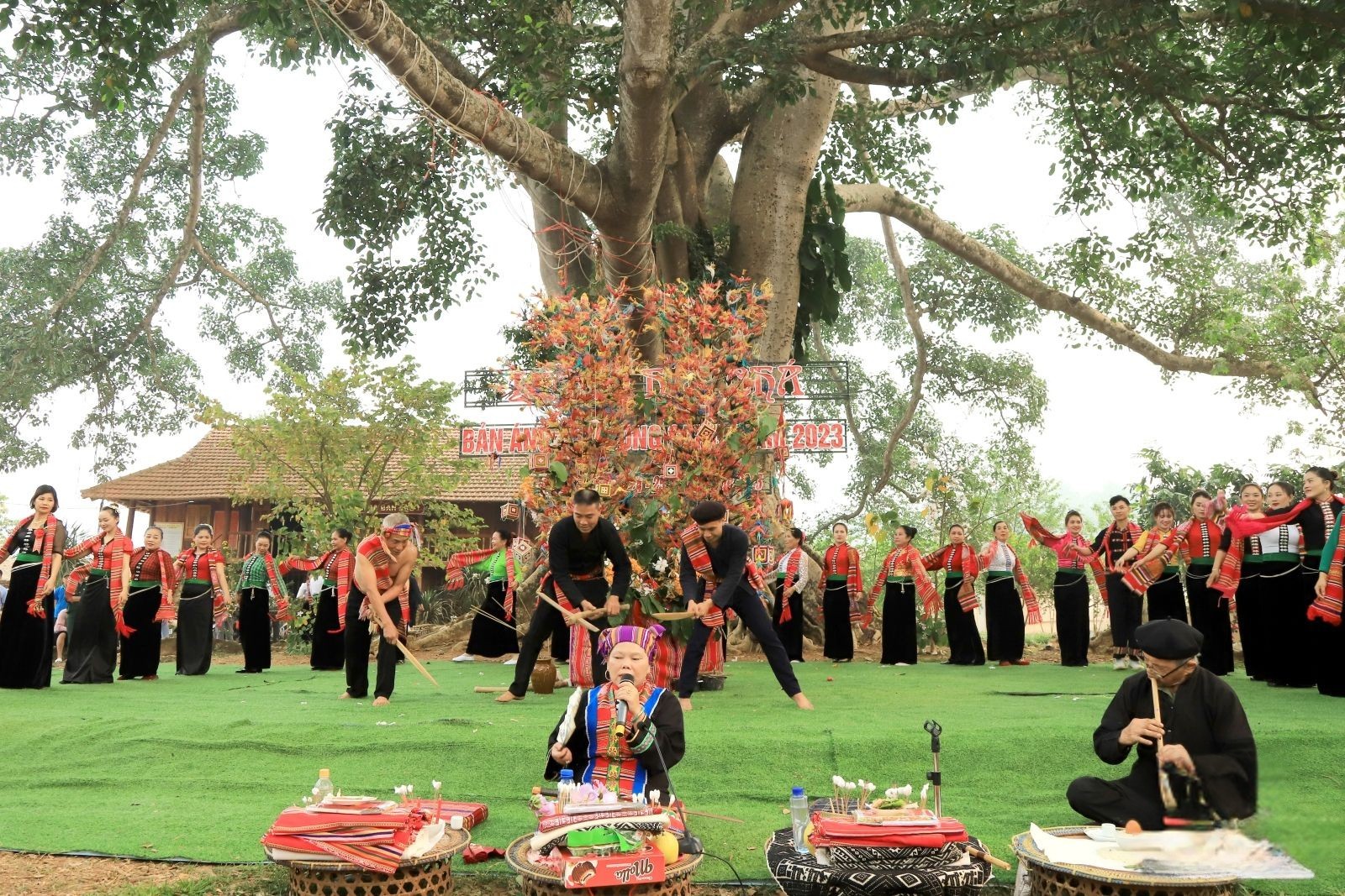 tra cao nguyen le hoi cau mua