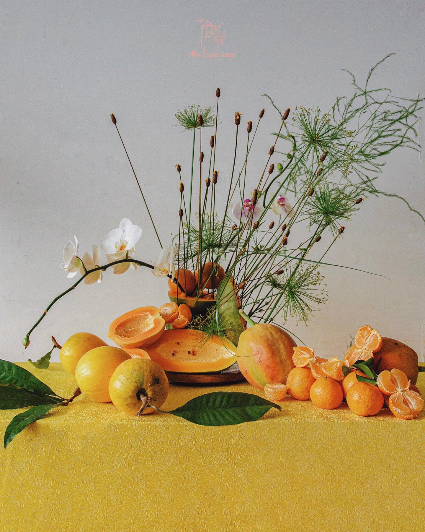 Mo Experience son tran florist cam hoa tet ngu qua