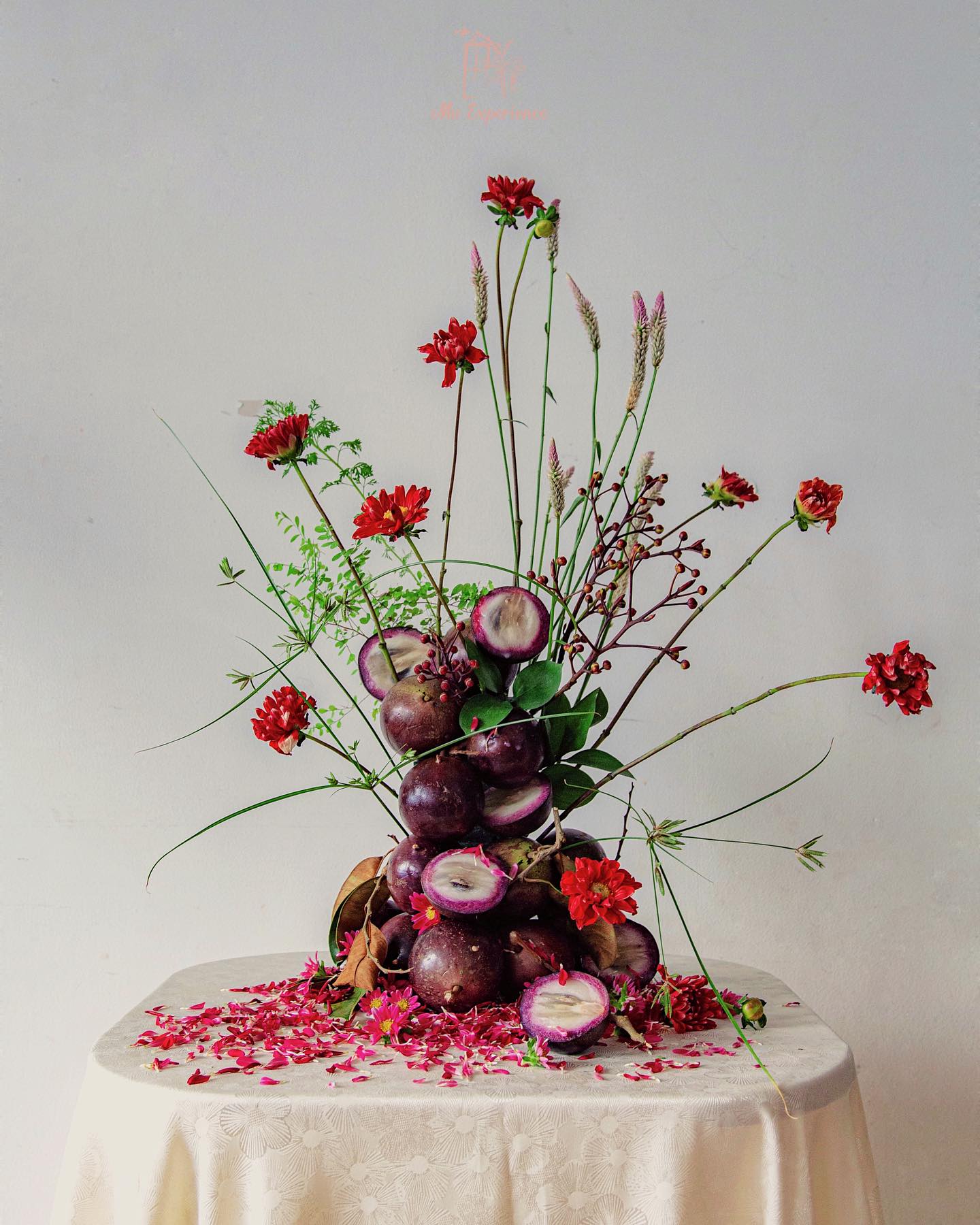 Mo Experience son tran florist cam hoa ngu qua