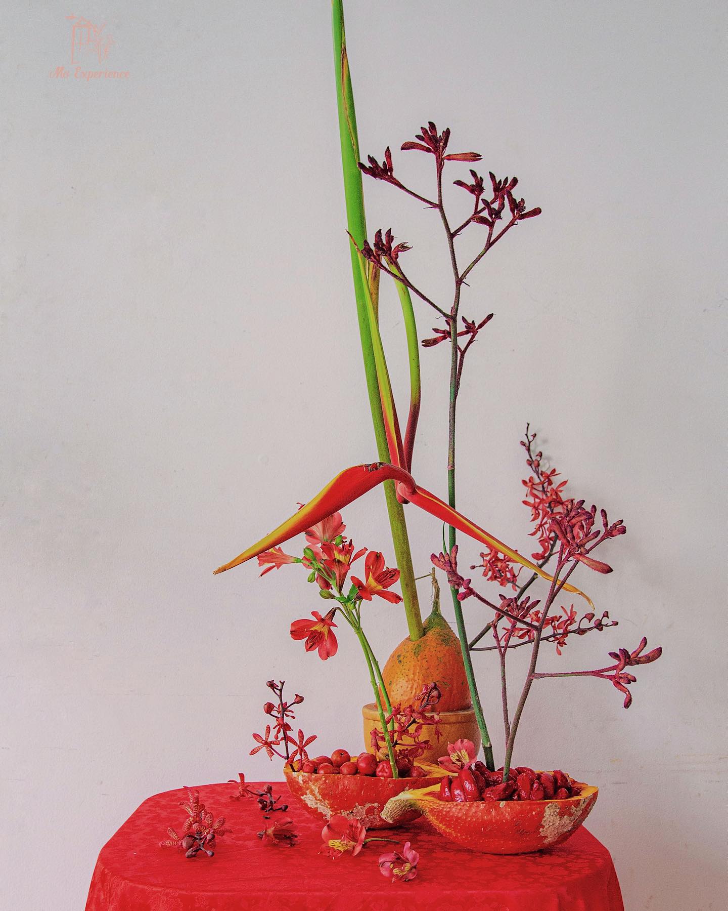 Mo Experience son tran florist cam hoa tet ngu qua