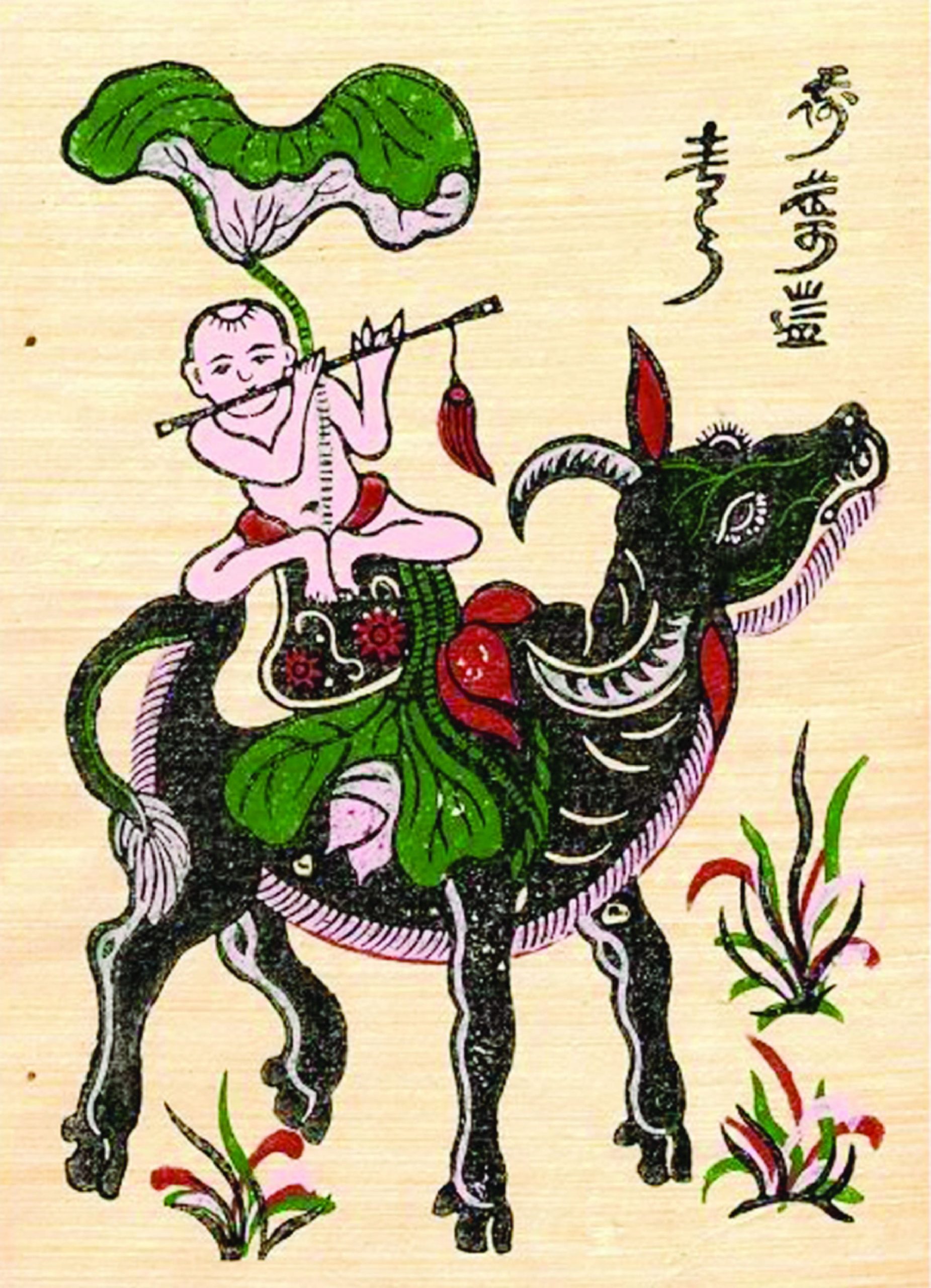 chan trau thoi sao