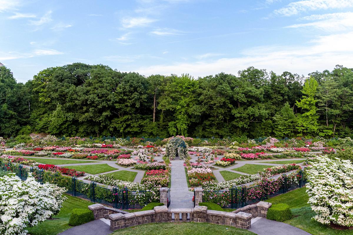 vuon hoa hong canh quan Beatrix Farrand