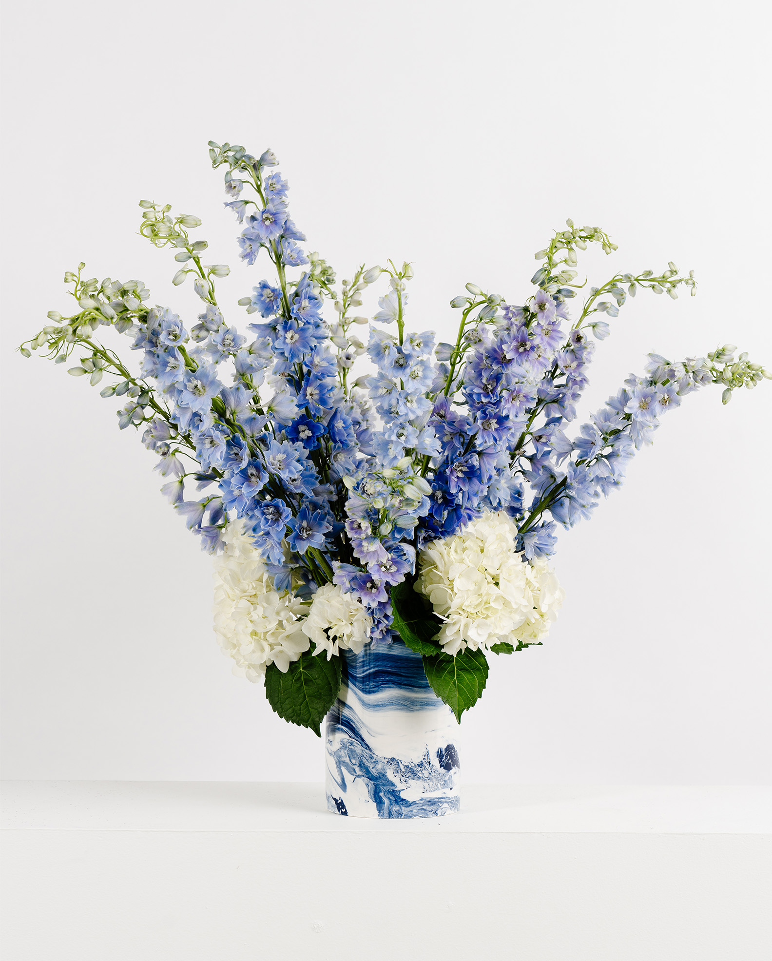 hoa phi yen noi that nghe thuat cam hoa