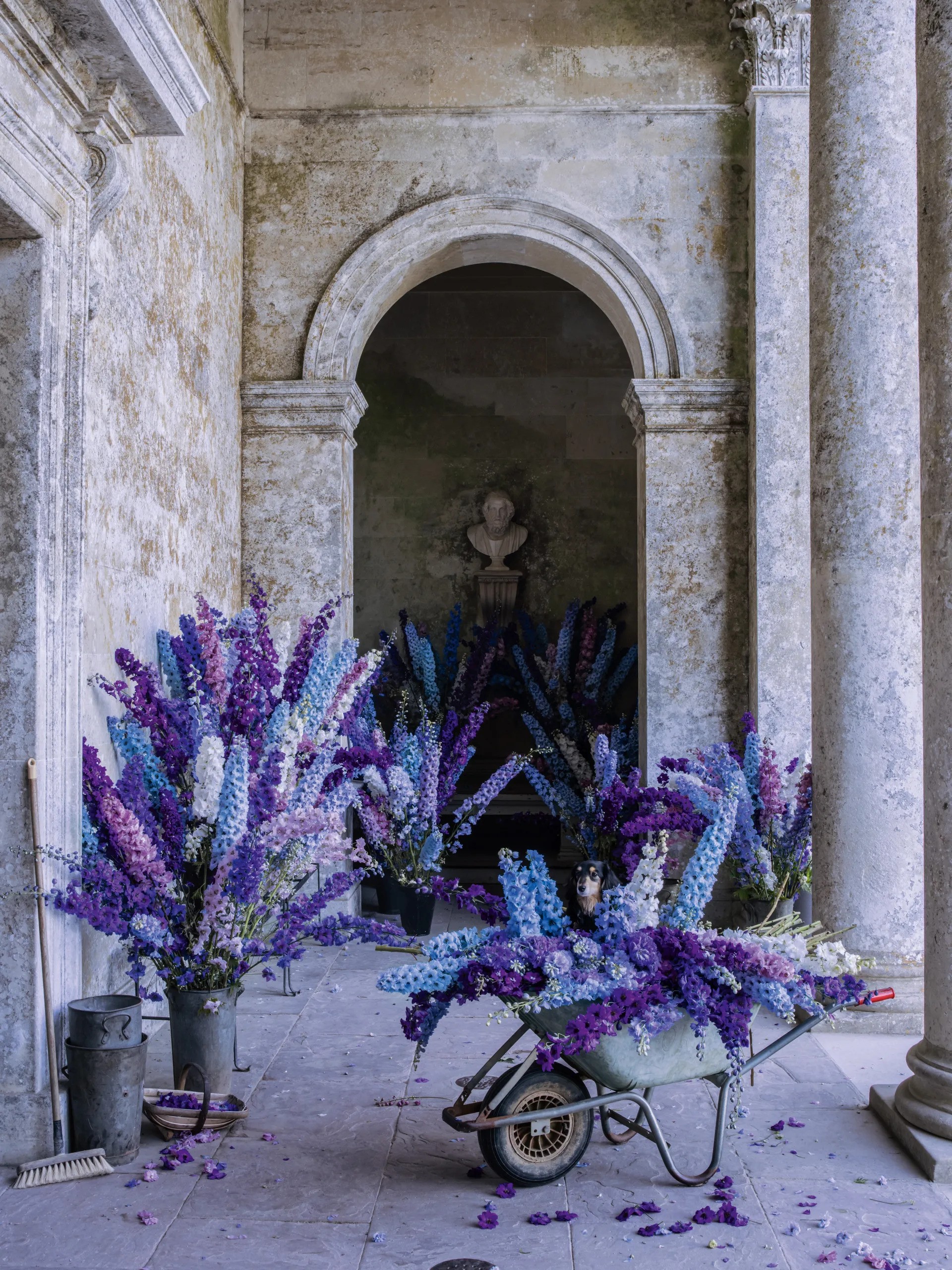 hoa phi yen tim kien truc co dien tim walker