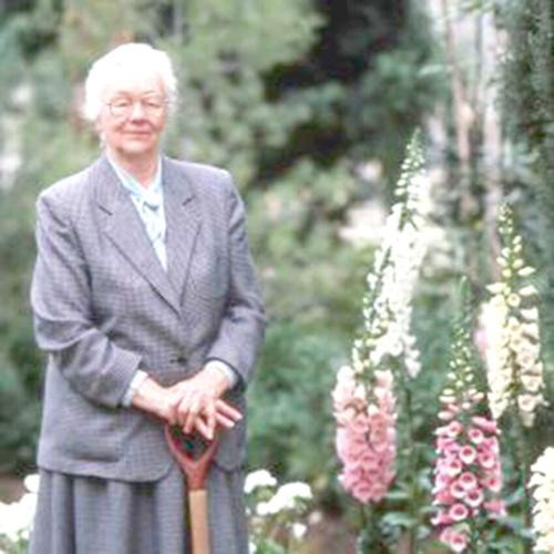 kien truc canh quan Alice Recknagel Ireys