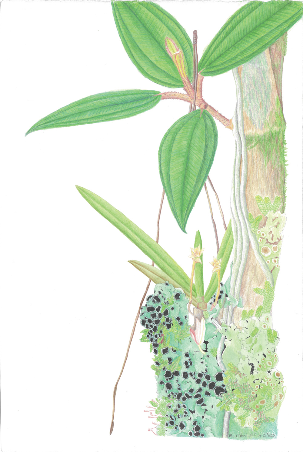 Sinh canh Thanh Nha thuc vat hoc