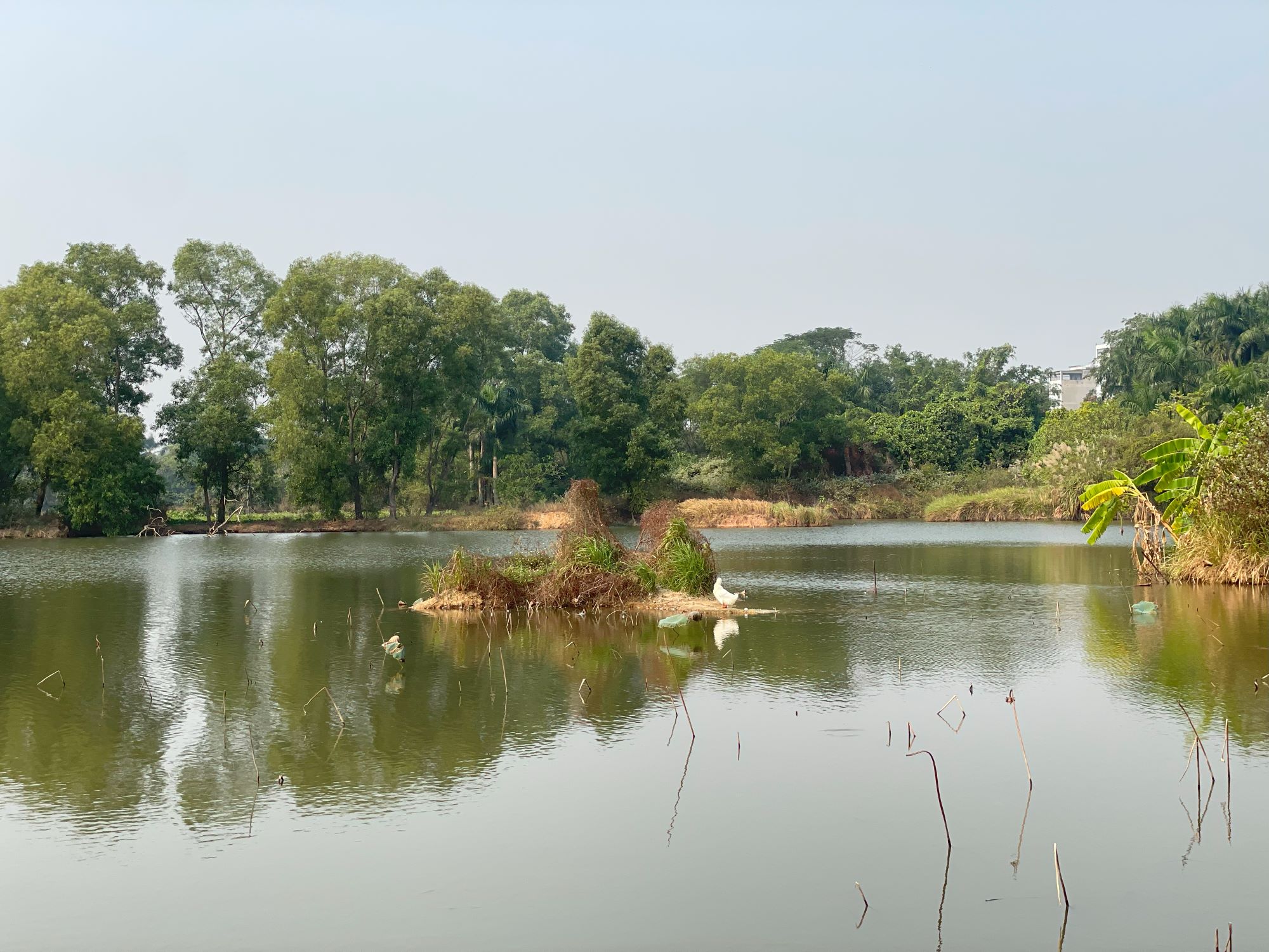 ly truc son studio lang que viet nam