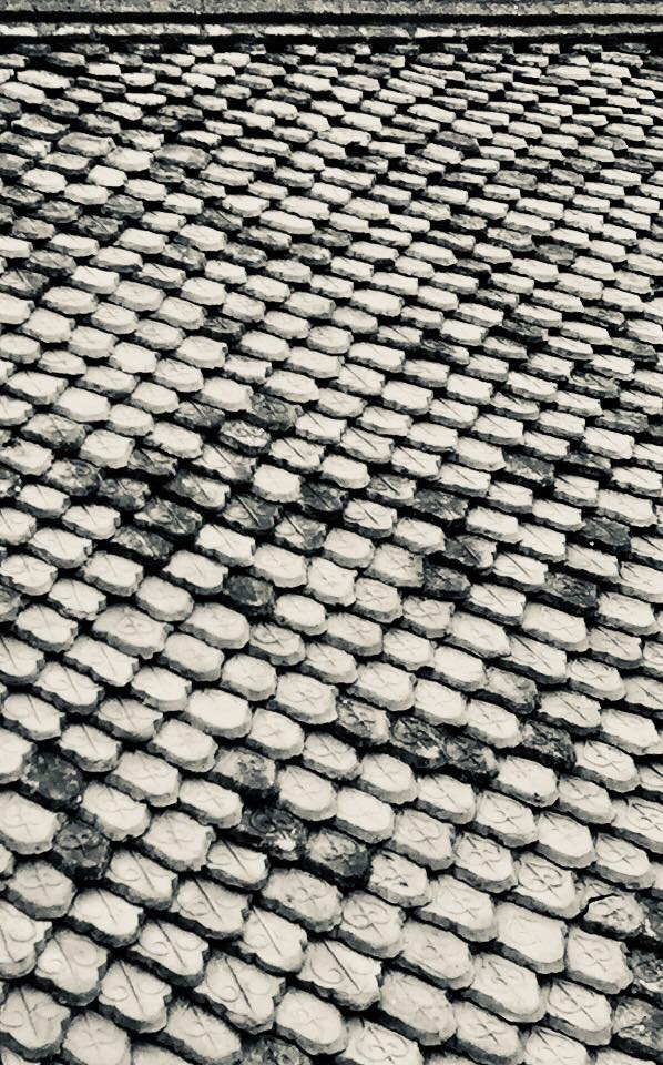 mai ngoi nha que kien truc thai binh