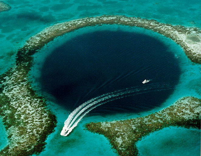 san ho coral reef polyp Belize Barrier Belize Great Blue Hole
