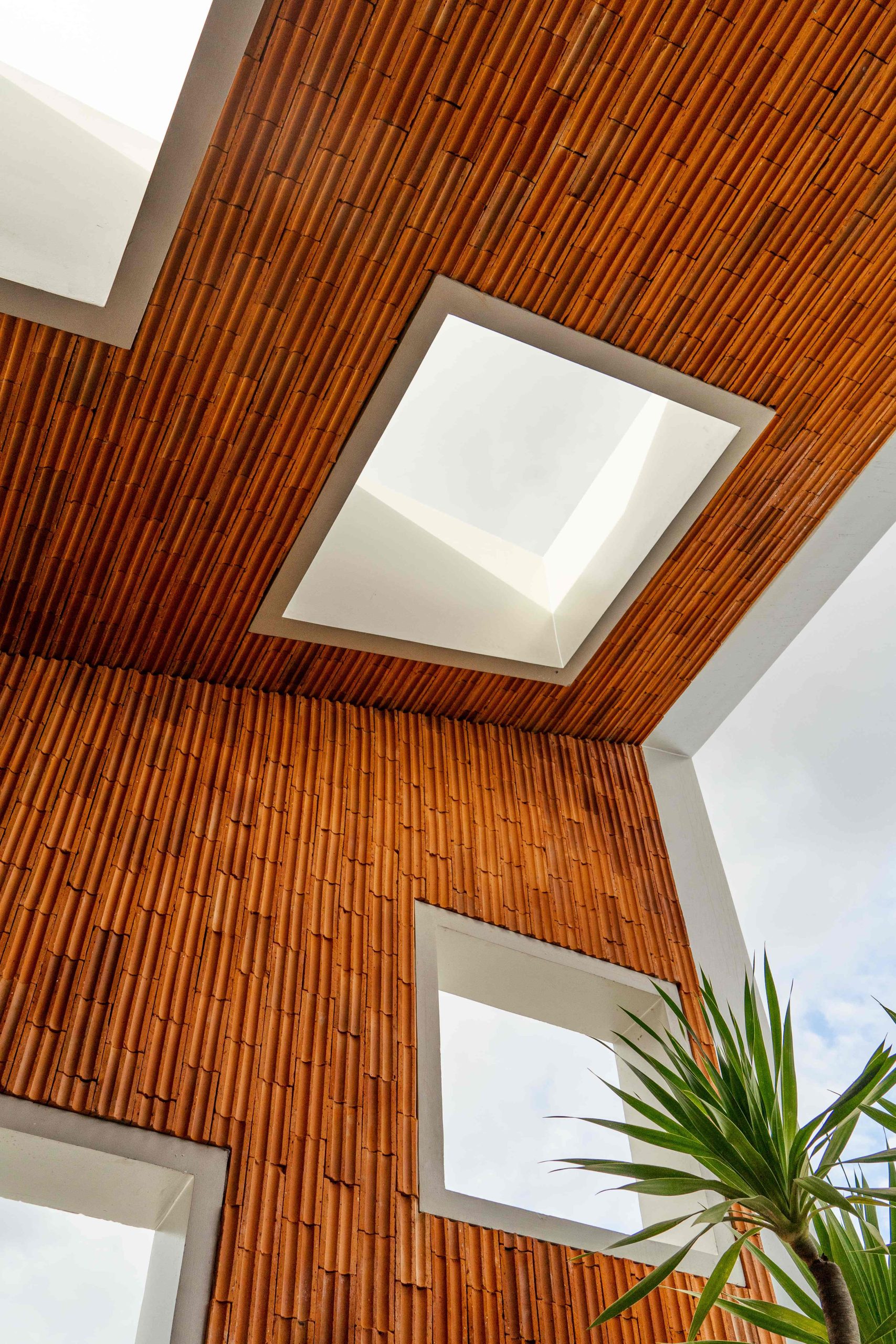 du an ai nghia NAQI & Partners