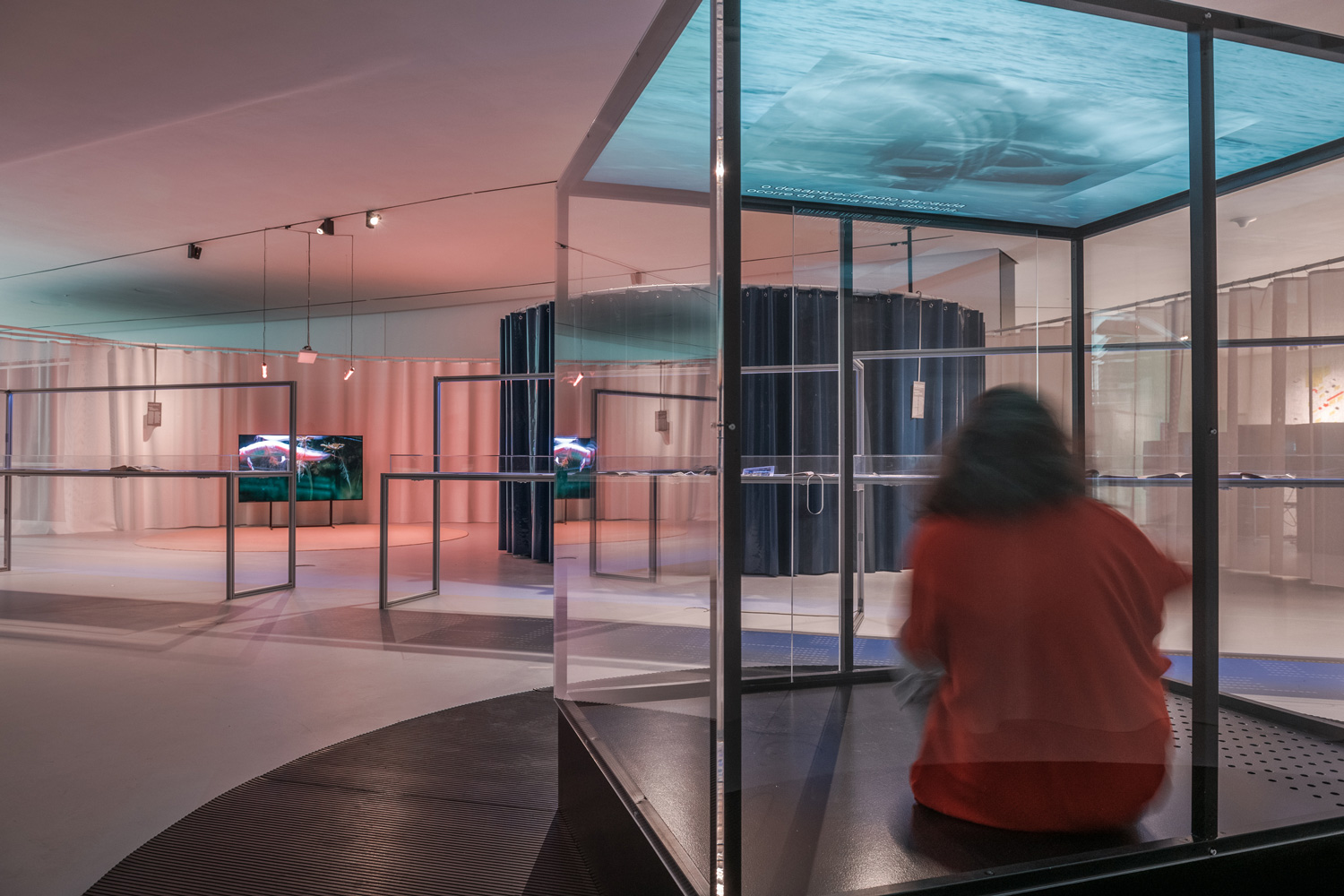 Trien lam Aquaria angela rui giam tuyen