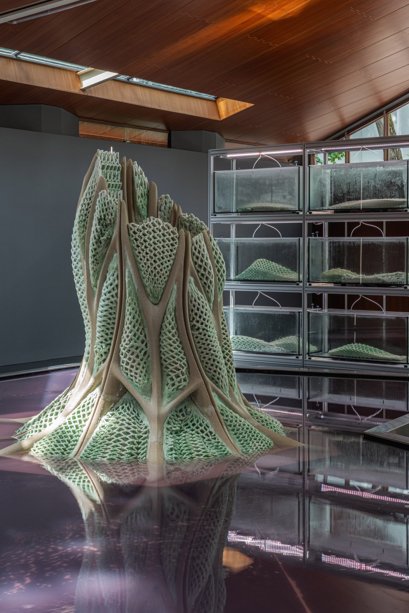 biophilic kien truc vi khuan ben vung Picoplanktonics Venice Architecture Biennale