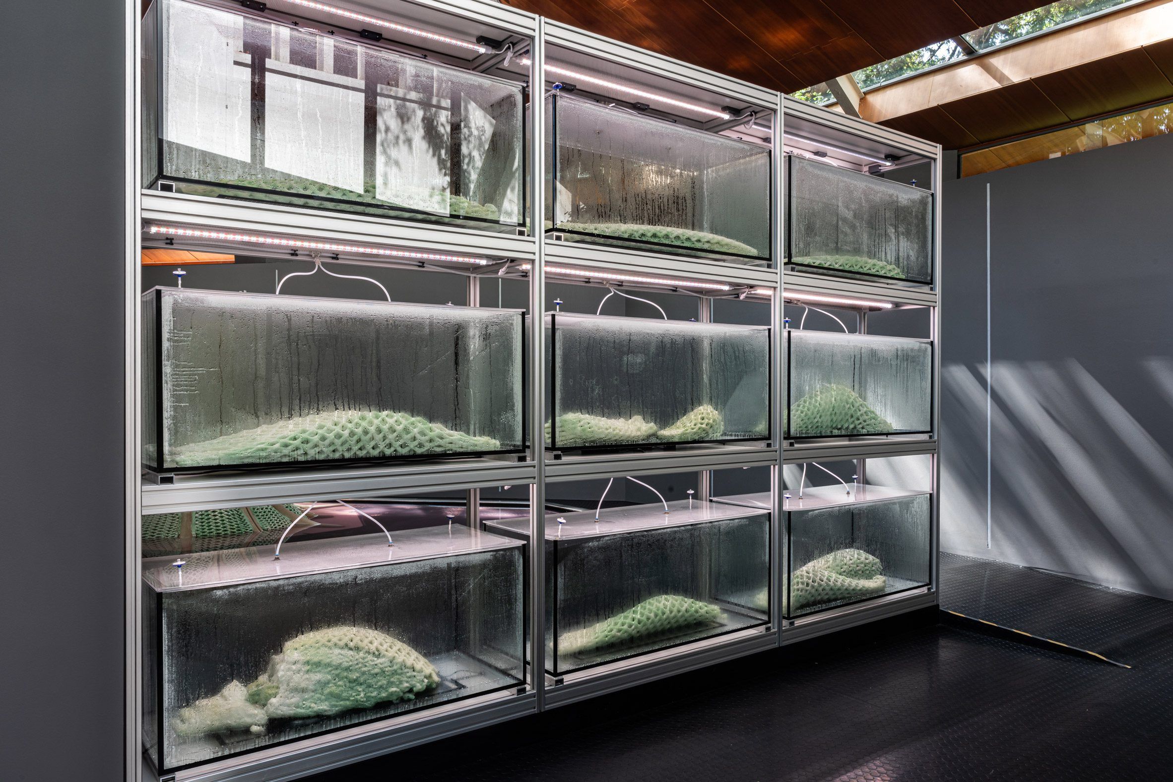 in 3d kien truc vi khuan ben vung Picoplanktonics Venice Architecture Biennale