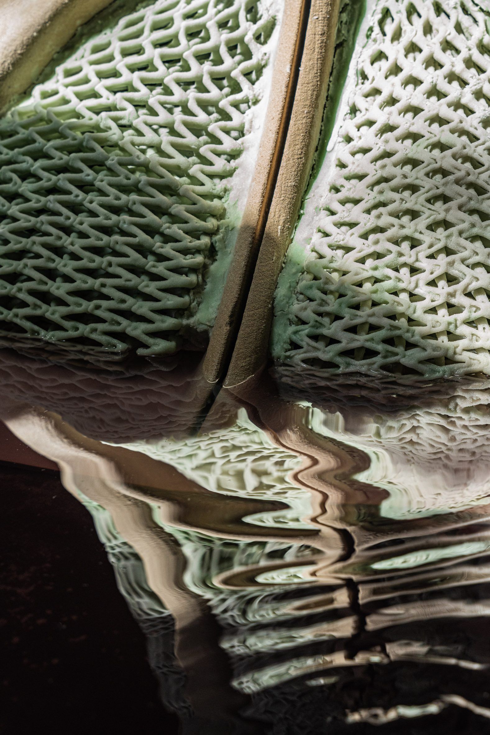 in 3d kien truc vi khuan ben vung Picoplanktonics Venice Architecture Biennale