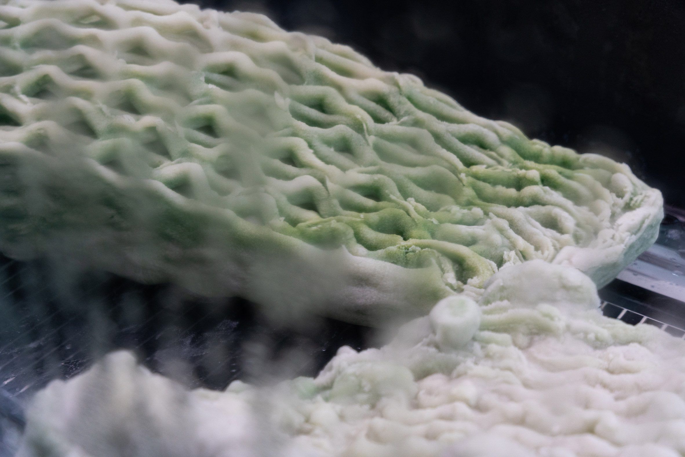 in 3d kien truc vi khuan ben vung Picoplanktonics Venice Architecture Biennale