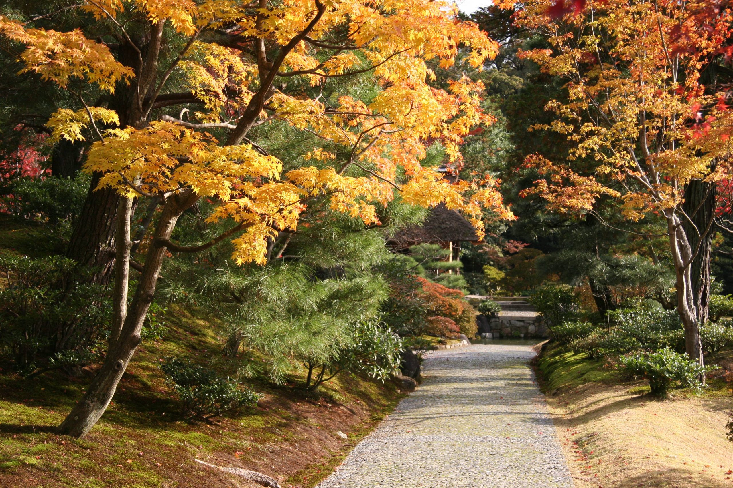 chau a asian mansion