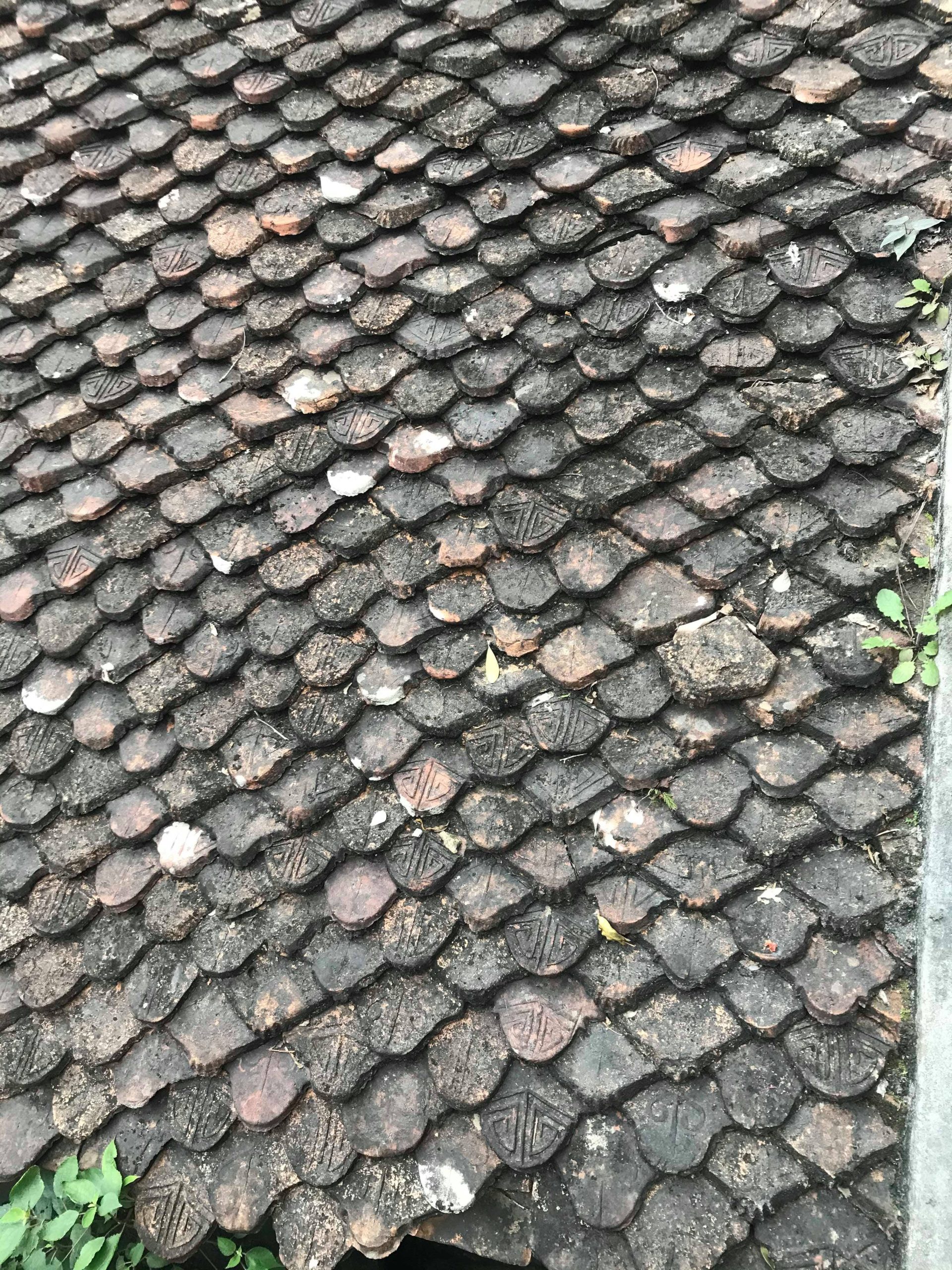 tam coc bich dong ninh binh hang ca hang hai hang ba chua ha chua trung chua thuong