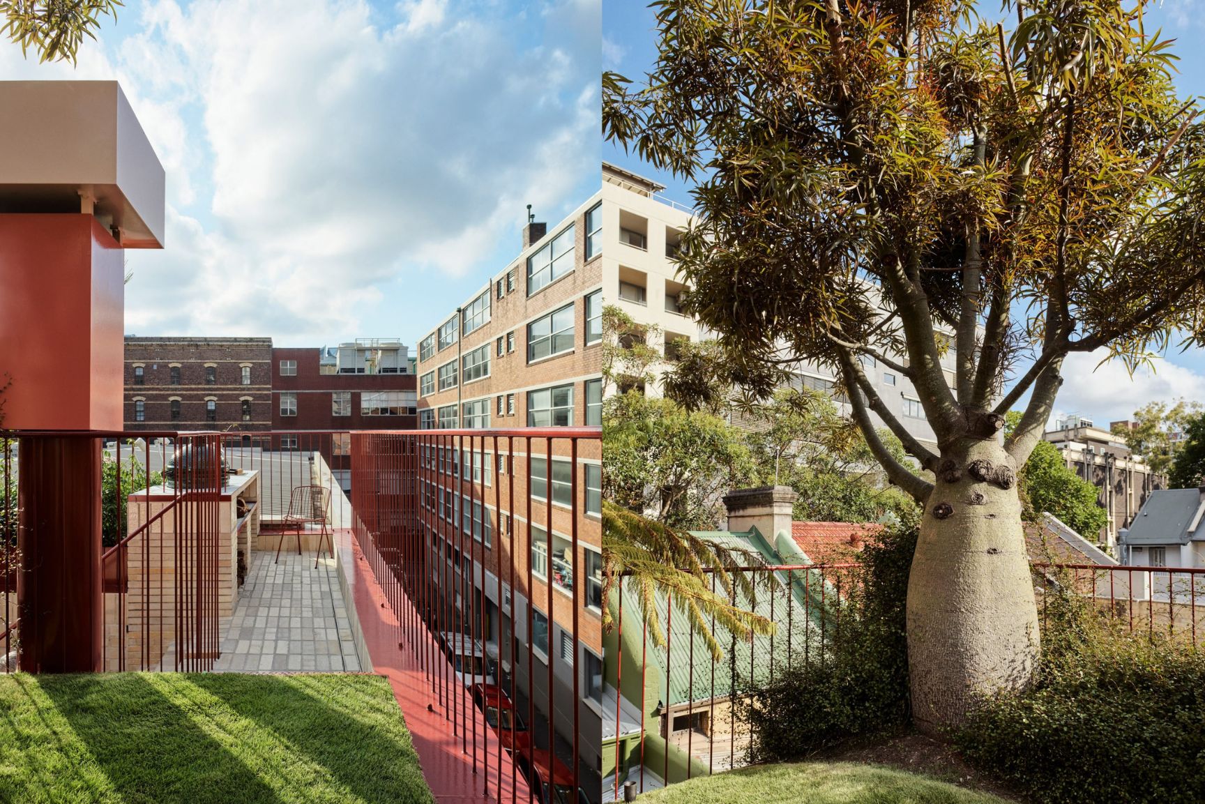 san thuong cai tao cay nhiet doi 19 waterloo