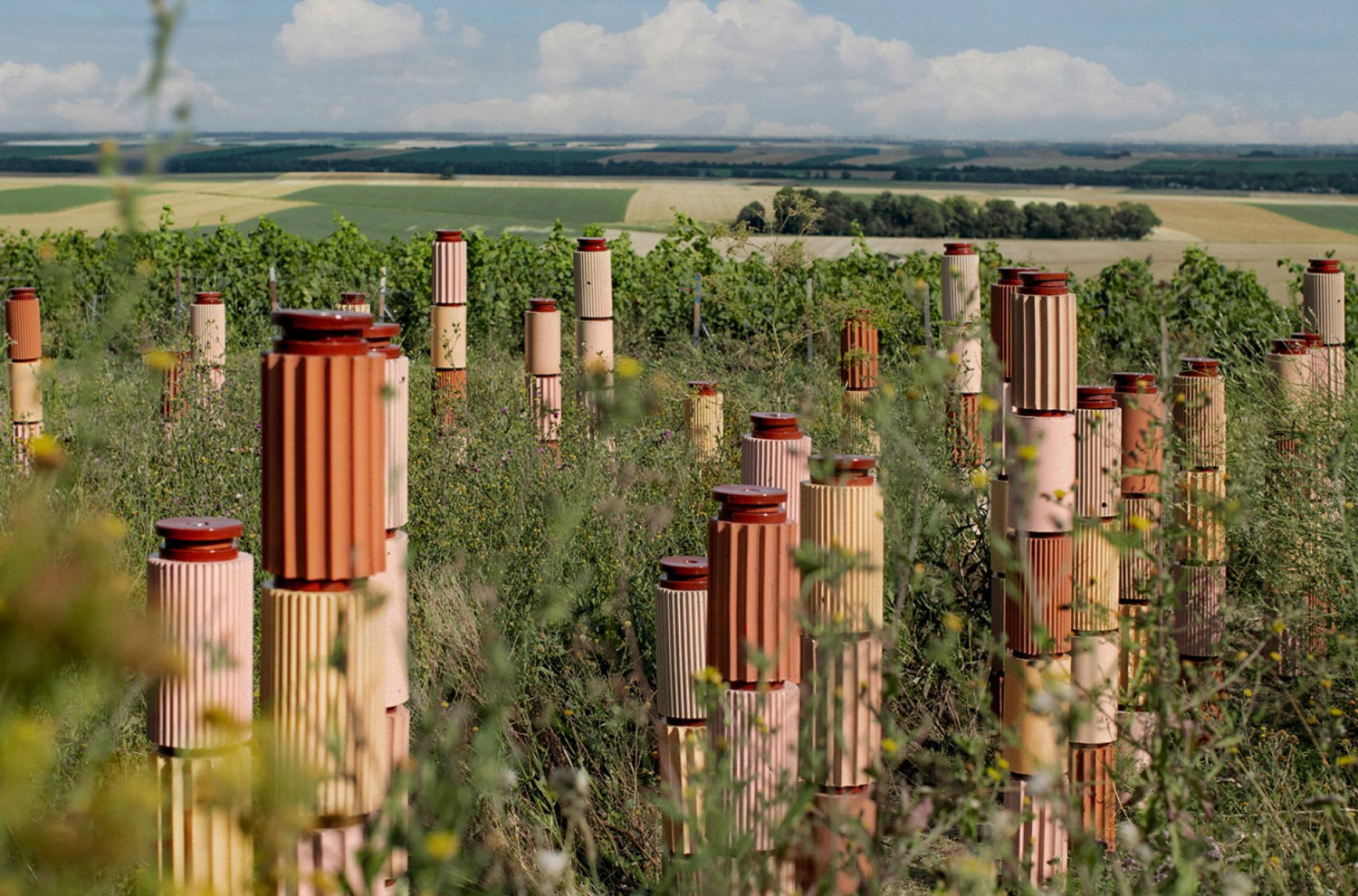 Formafantasma & Cohabitare ben vung dat nung Champagne Perrier-Jouët