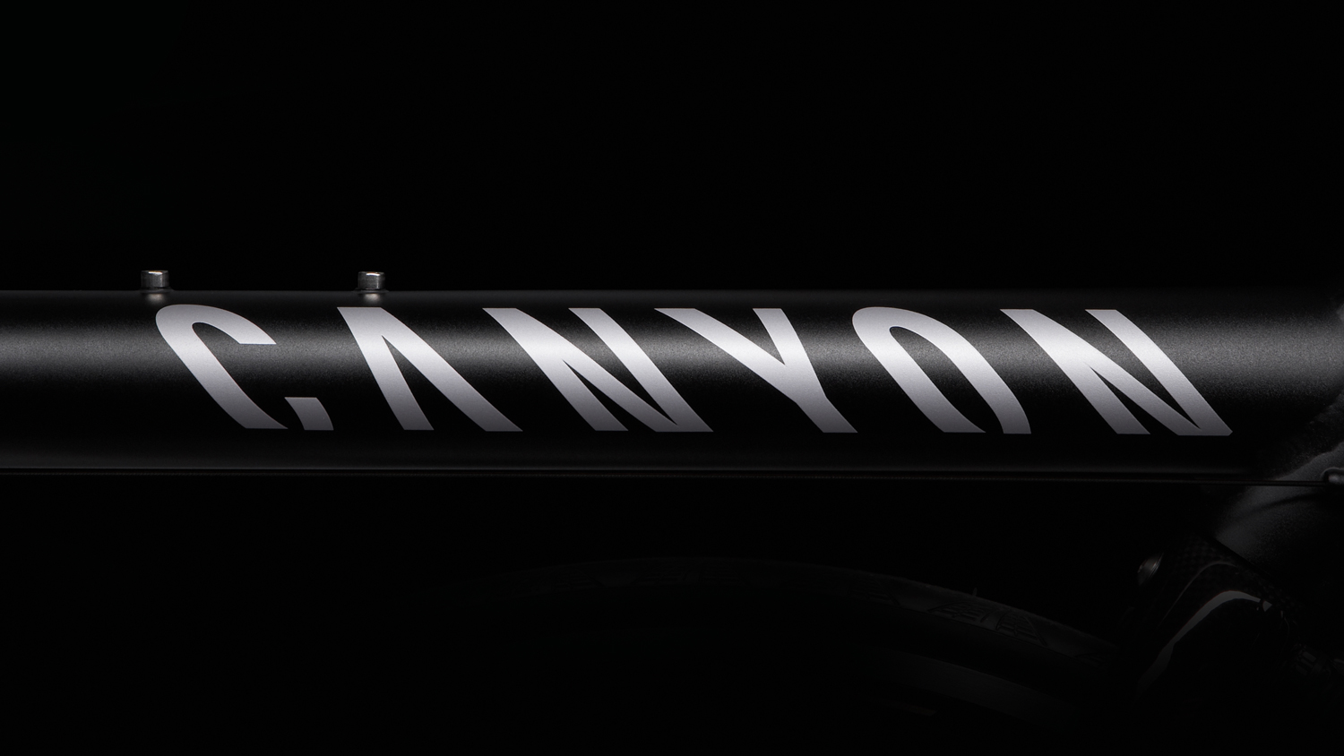 Logo Canyon thiet ke do hoa