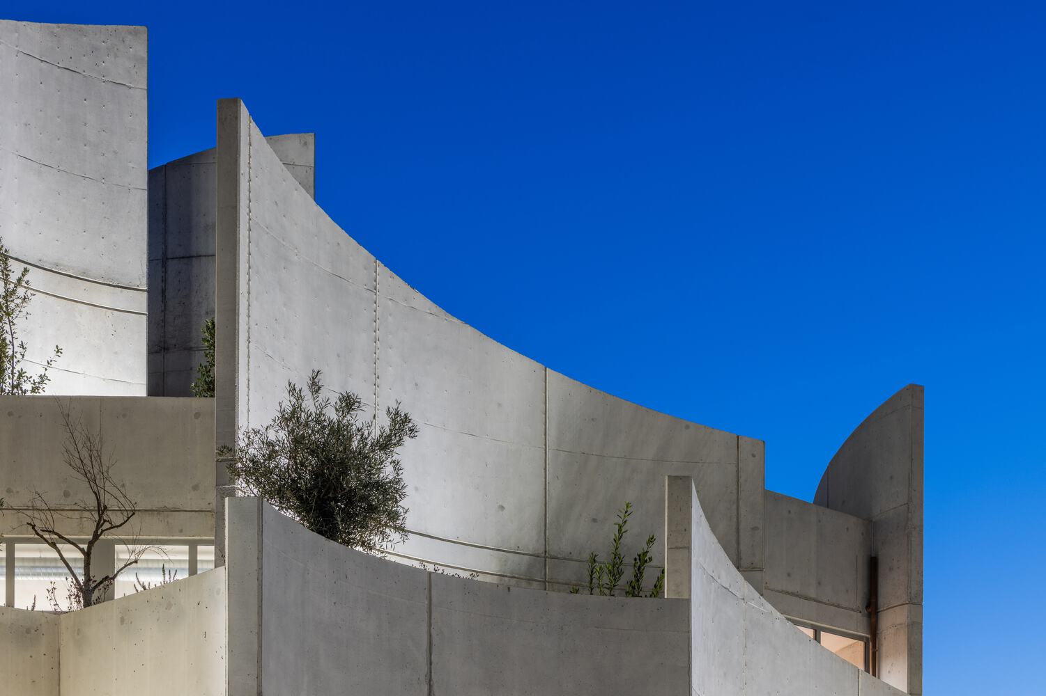 Tirana pet hospital Davide Macullo Architects kien truc brutalism tho moc be tong