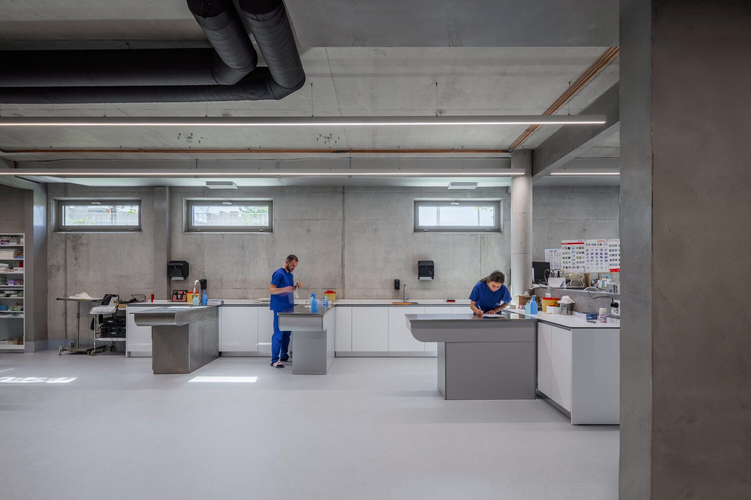 benh vien thu y Tirana Davide Macullo Architects