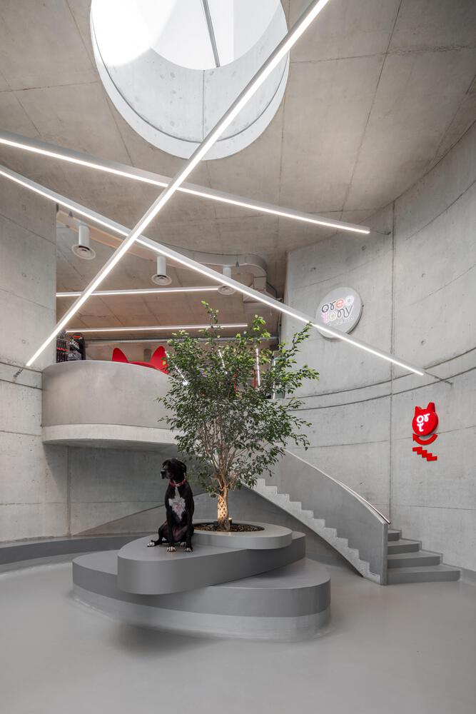 Tirana pet hospital Davide Macullo Architects benh vien thu y