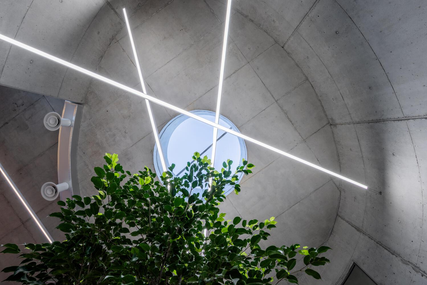 Tirana pet hospital Davide Macullo Architects gieng troi eco brutalism